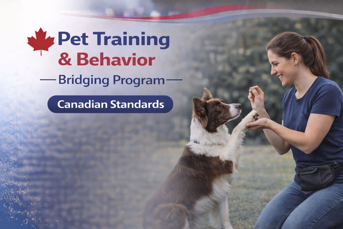 Pet Training & Behavior Bridging Program – bridging course at Richmond Hill College