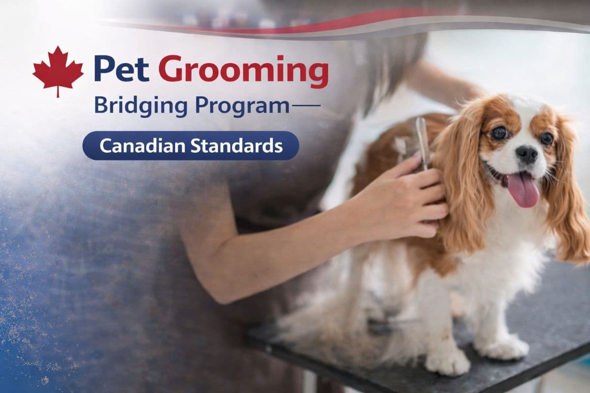 Pet Grooming Bridging Program – bridging course at Richmond Hill College